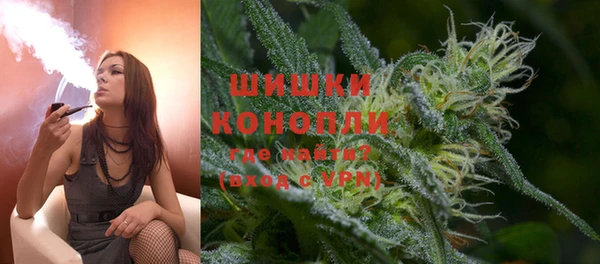 ПСИЛОЦИБИНОВЫЕ ГРИБЫ Алексеевка
