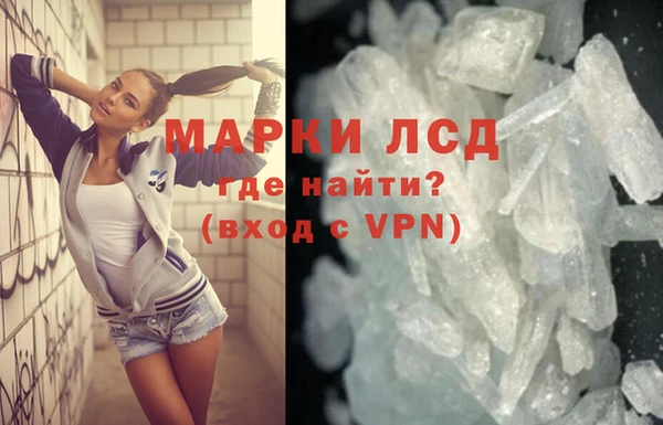 крисы Алзамай