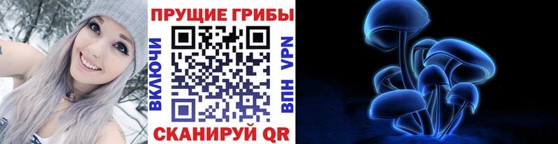 Псилоцибиновые грибы прущие грибы  гидра маркетплейс  Приозерск 